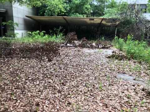 芜湖市镜湖区九华山路200号房产拆除残值转让公告