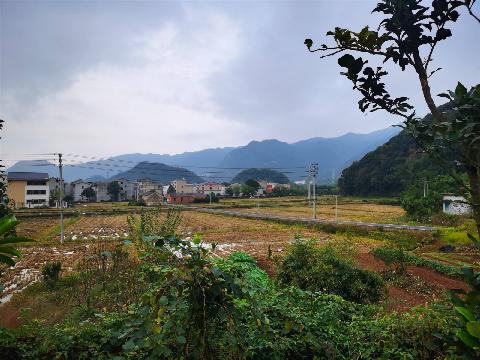 赤岸镇三角毛店村寺口畈地块土地流转