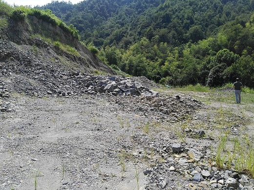 东至县梅城林场办公区剩余矿石资源转让公告