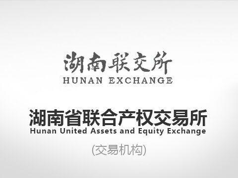 湖南源鑫矿业有限公司51%股权转让公告（国资监测编号G32019HN1000019）