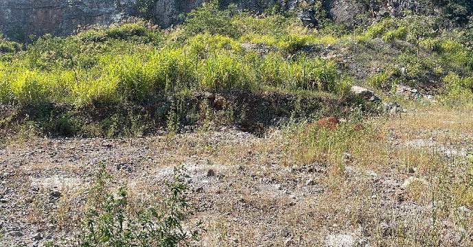 池州金桥投资集团有限公司关于池州市皖加矿业有限公司佛子岭矿越界开采矿石资源转让公告