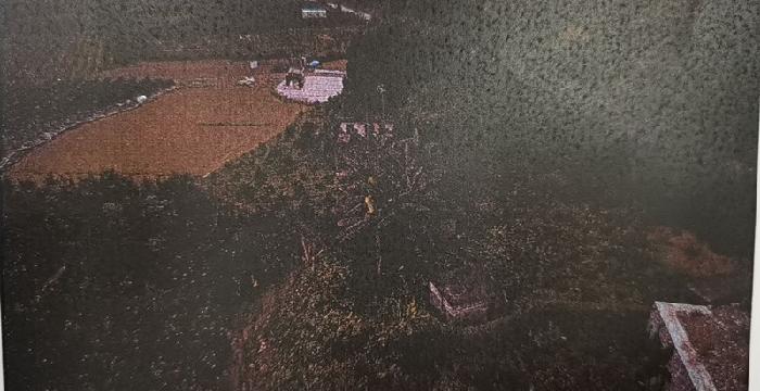 田林县利周公路养护站2536.75㎡土地招租（3年）项目交易公告
