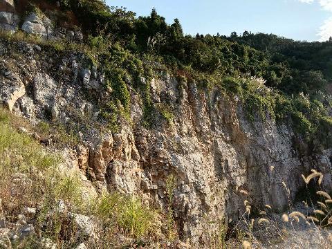 青阳县九华五矿公司黄山石灰石矿采场南侧边坡安全隐患治理过程中产生的矿石资源（界外部分）转让公告