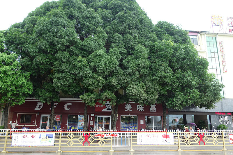 宁明县城中镇兴宁大道中2号7间铺面招租3年项目交易公告