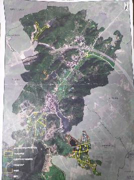 上溪镇同心村后宋自然村土地流转