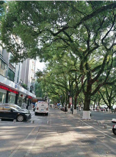 桂林市秀峰区滨江路16号可高•漓江1号商务办公楼第三层整层（10套房产）转让项目交易公告
