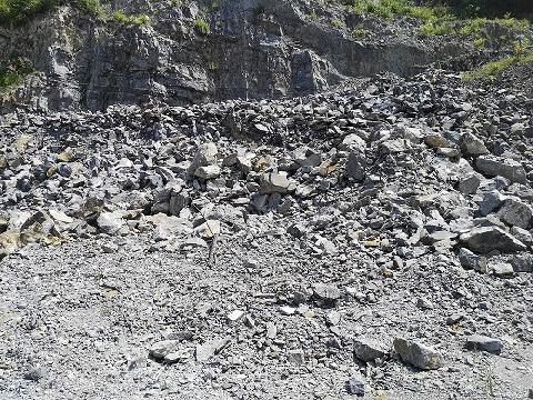 东至县梅城林场办公区剩余矿石资源转让公告