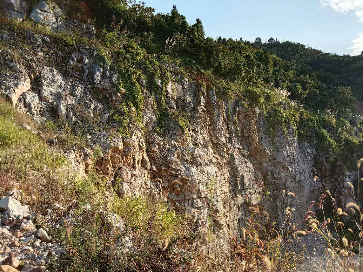 青阳县九华五矿公司黄山石灰石矿采场南侧边坡安全隐患治理过程中产生的矿石资源（界外部分）转让公告