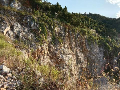 青阳县九华五矿公司黄山石灰石矿采场南侧边坡安全隐患治理过程中产生的矿石资源（界外部分）转让公告
