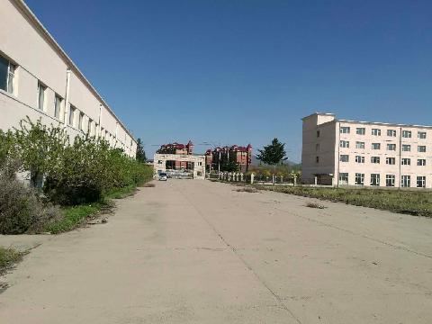 吉林省永吉经济开发区上海街008号地面附着房屋建（构）筑物、管道及沟槽、机器设备、对应土地使用权（整体转让）项目交易公告