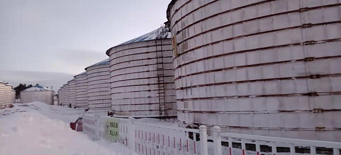 中储粮赵光直属库有限公司一批报废砼仓拆除及回收交易公告