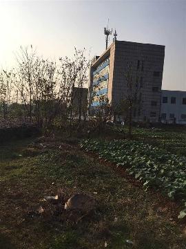 芜湖县湾沚镇城南电信机房以东、南湖路以北国有建设用地使用权拍卖交易公告