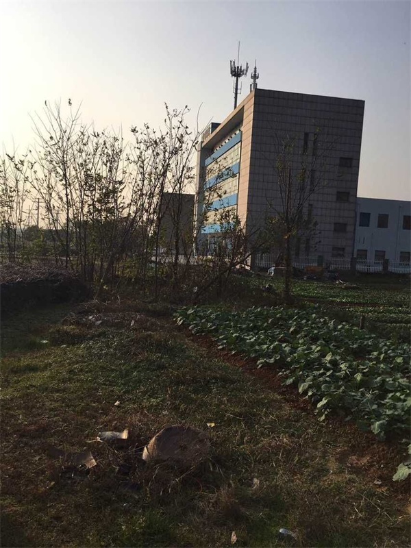 芜湖县湾沚镇城南电信机房以东、南湖路以北国有建设用地使用权拍卖交易公告
