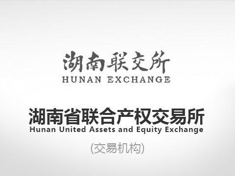 对冷水江市大为矿业有限责任公司的不良贷款债权