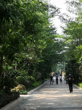 厦门市思明区海峡国际社区33-703号房产转让交易公告