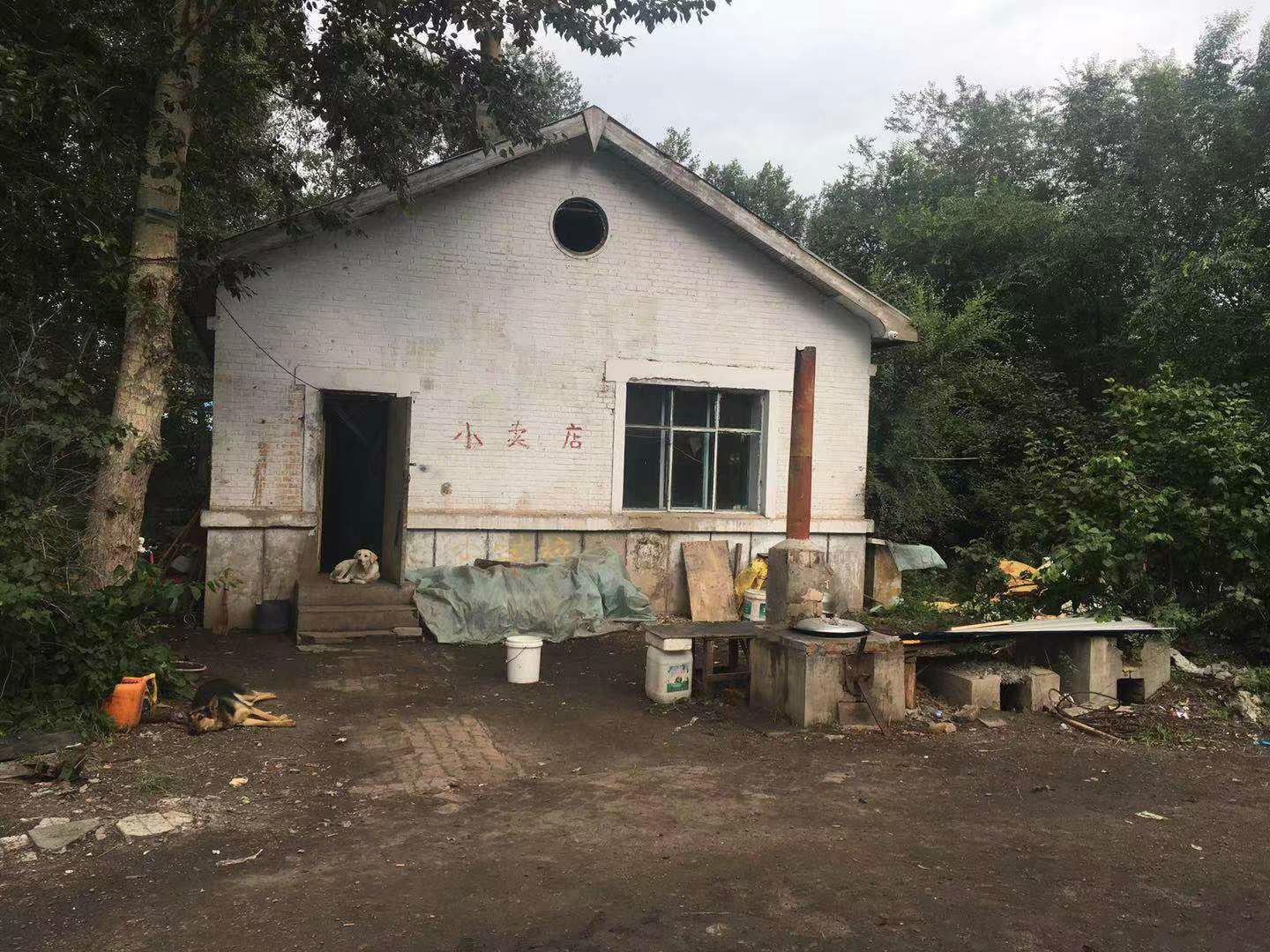 内蒙古自治区呼伦贝尔市鄂温克旗大雁镇雁南区（矿业）所属6项房屋及构建物资产交易公告