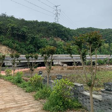 上溪镇潜溪村西坞石笋下田和蜂塘山地块土地流转