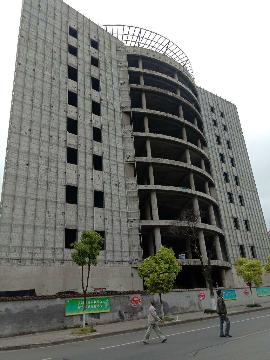“上海杨园综合商场文化中心”在建工程14.8%权益份额转让项目交易公告