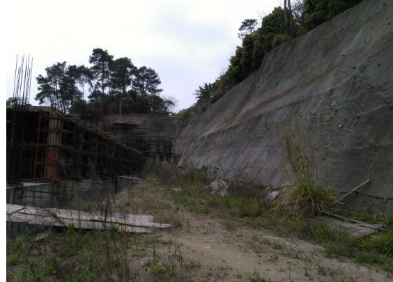 柳州市长风路1号综合楼、鹧鸪江路150号土地两处资产分别转让项目交易公告
