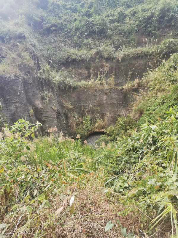 那坡县百都水电站扩建增容项目资产整体转让项目资产交易公告