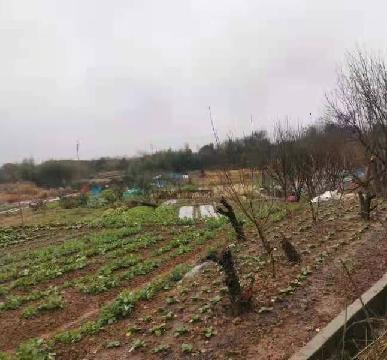 后宅街道寺前村华龙殿-八宝殿及以南区块土地流转