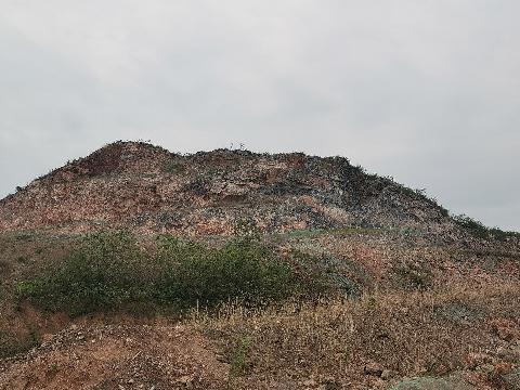 无为县牛岭矿业有限公司矿区内消除安全隐患动用的建筑石料用灰岩矿及砂石土转让公告