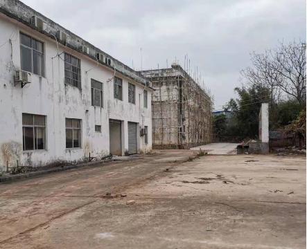 广西壮族自治区灵山公路养护中心龙楼养护站站房整体招租（4年）项目交易公告