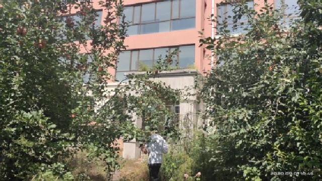 呼和浩特市110国道518公里处（内蒙古公安厅培训基地）宜都家苑1号楼1单元102 号房产招租（年租金底价42000元/年，租期3年）机关事务局