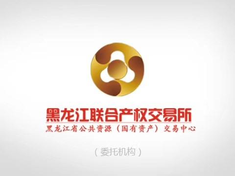 七煤集团桃山九采区二井（含九采区一井）的2宗矿权、1宗土地、3项电子设备、9项构筑物、21项房产、40项存货、42项井巷、216项机械设备捆绑转让交易公告