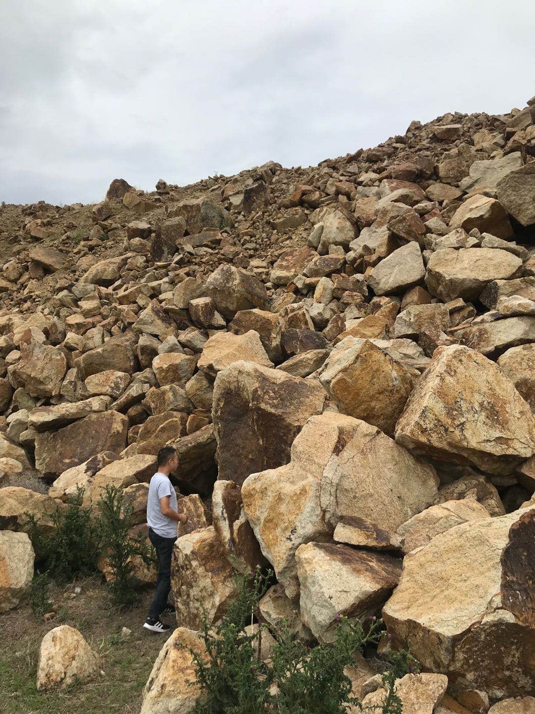 约8万立方米山皮石转让第五标包(挂牌底价为21.15元/立方米)交易公告