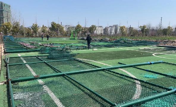 江东街道船埠头村原足球场旧址场地招租