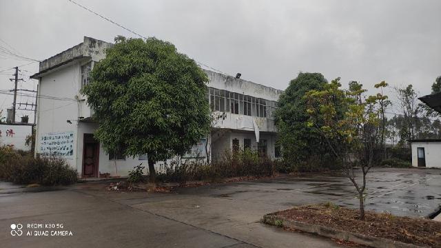 广西壮族自治区灵山公路养护中心龙楼养护站站房整体招租（4年）项目交易公告