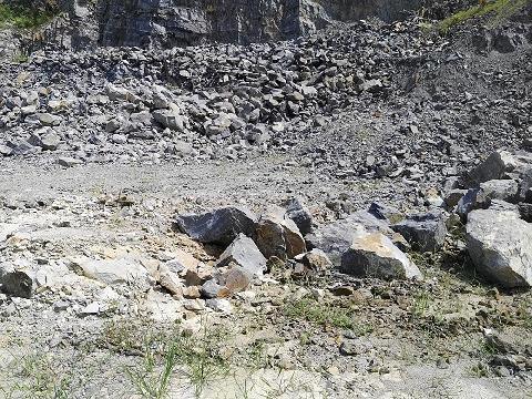 东至县梅城林场办公区剩余矿石资源转让公告