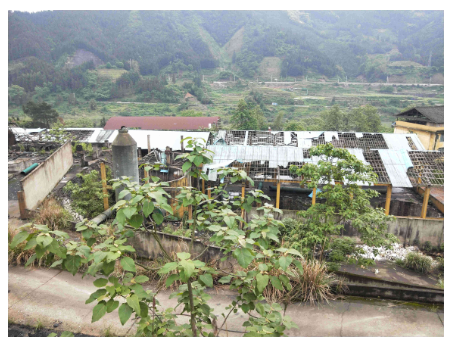 广西柳州市三江县程村乡草头坪村41315.54㎡（约61.94亩）国有出让工业用地及地上建筑物整体转让项目交易公告