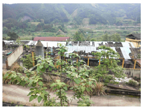 广西柳州市三江县程村乡草头坪村41315.54㎡（约61.94亩）国有出让工业用地及地上建筑物整体转让项目交易公告