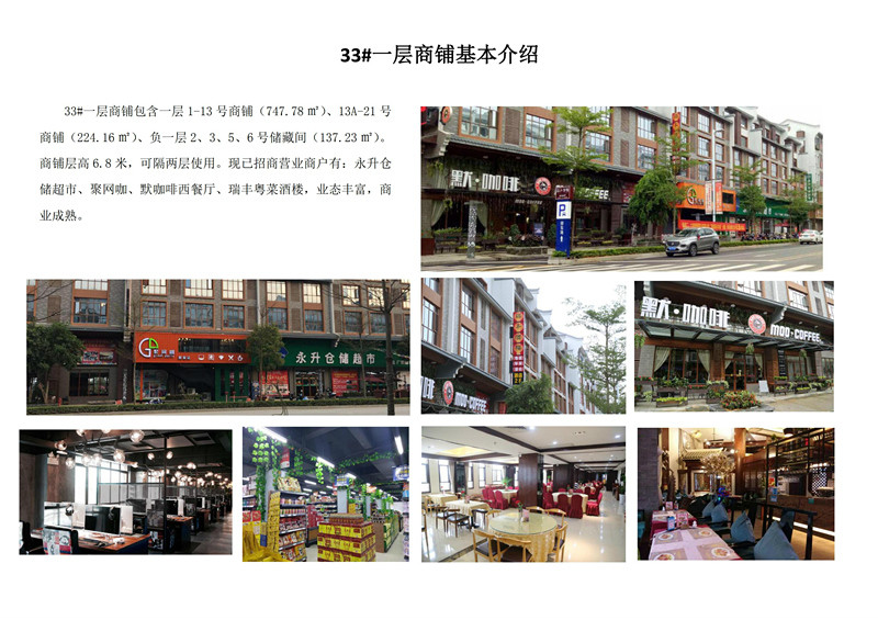 南宁市隆安县那成东街32号楼（商业部分）、33号楼房产分别转让项目交易公告