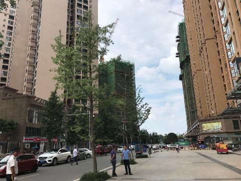 四川省成都市青白江区便民路10号14楼商业转让交易公告