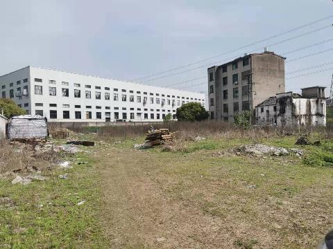 廿三里街道后乐村骆宅自然村旧房拆除空闲场地招租
