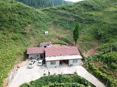 怀化市沅陵县麻溪铺镇千丘田村屈家组175亩林地使用权及其林木交易公告