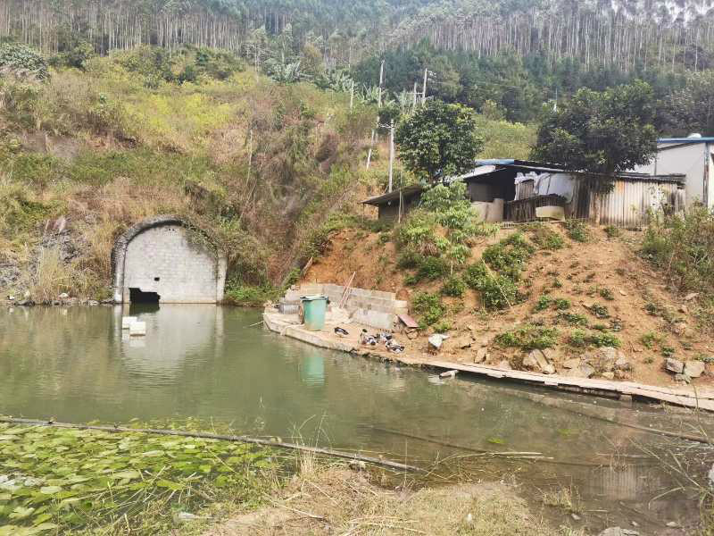 那坡县百都水电站扩建增容项目资产整体转让项目资产交易公告