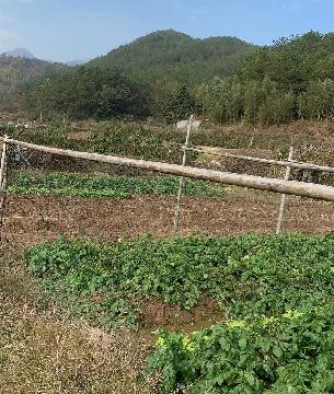 上溪镇潜溪村沿华门通田带梅坞地后山地块土地流转