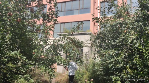 呼和浩特市110国道518公里处（内蒙古公安厅培训基地）宜都家苑1号楼1单元102 号房产招租（年租金底价37800元/年，租期3年）机关事务局