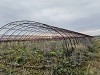 哈尔滨北国水城农业经济运营有限公司19栋钢制龙骨大棚境外废旧资产转让交易公告