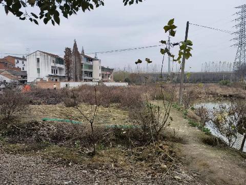 福田街道前黄宅村土地流转