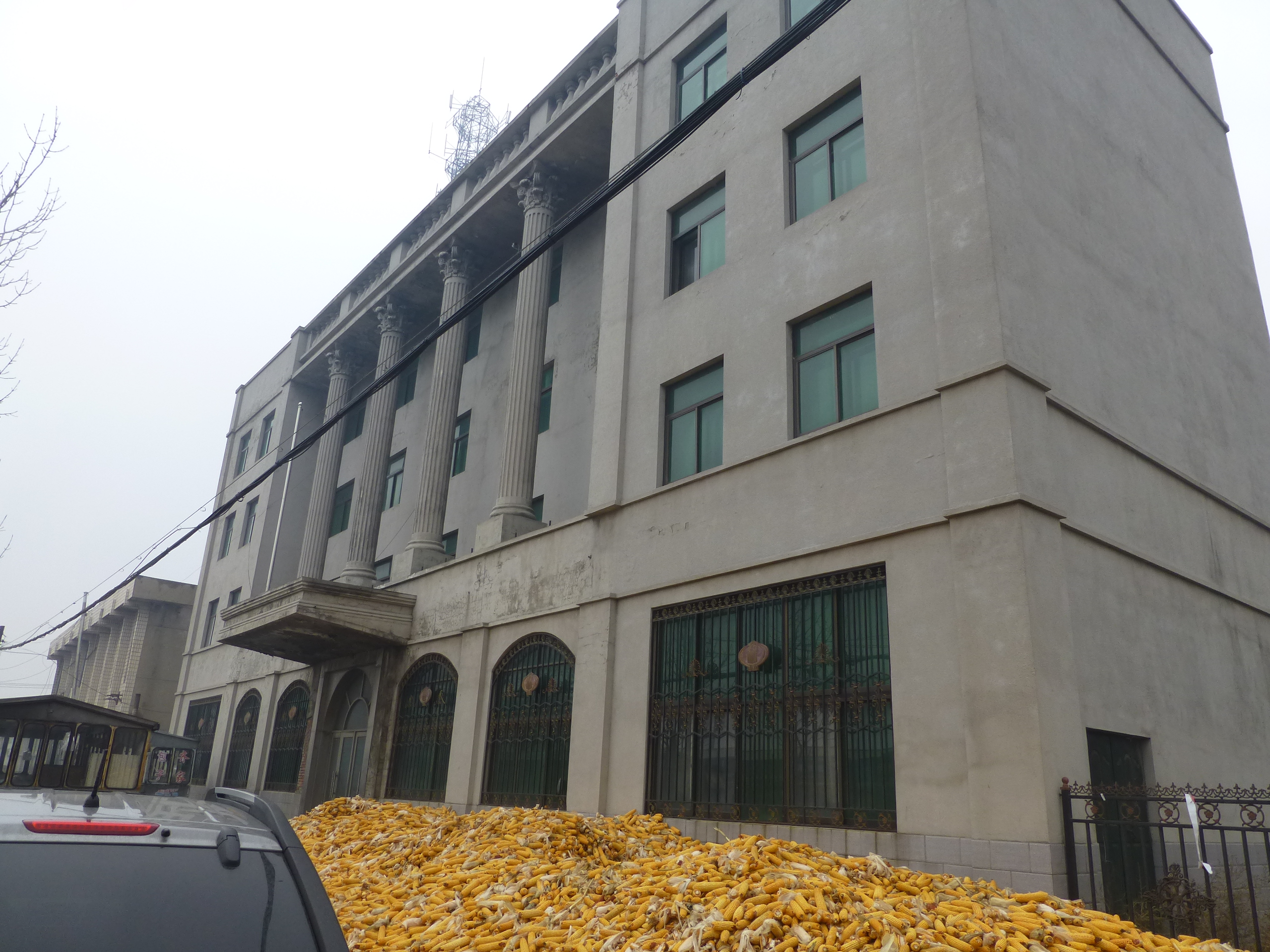 哈尔滨市呼兰区康金镇房产出租交易公告