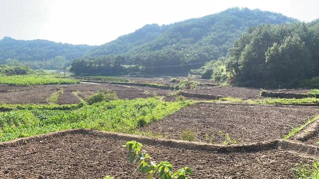 上溪镇斯何村四石-经堂坞地块土地流转