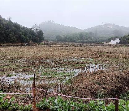 赤岸镇下水碓村后塘下畈地块土地流转