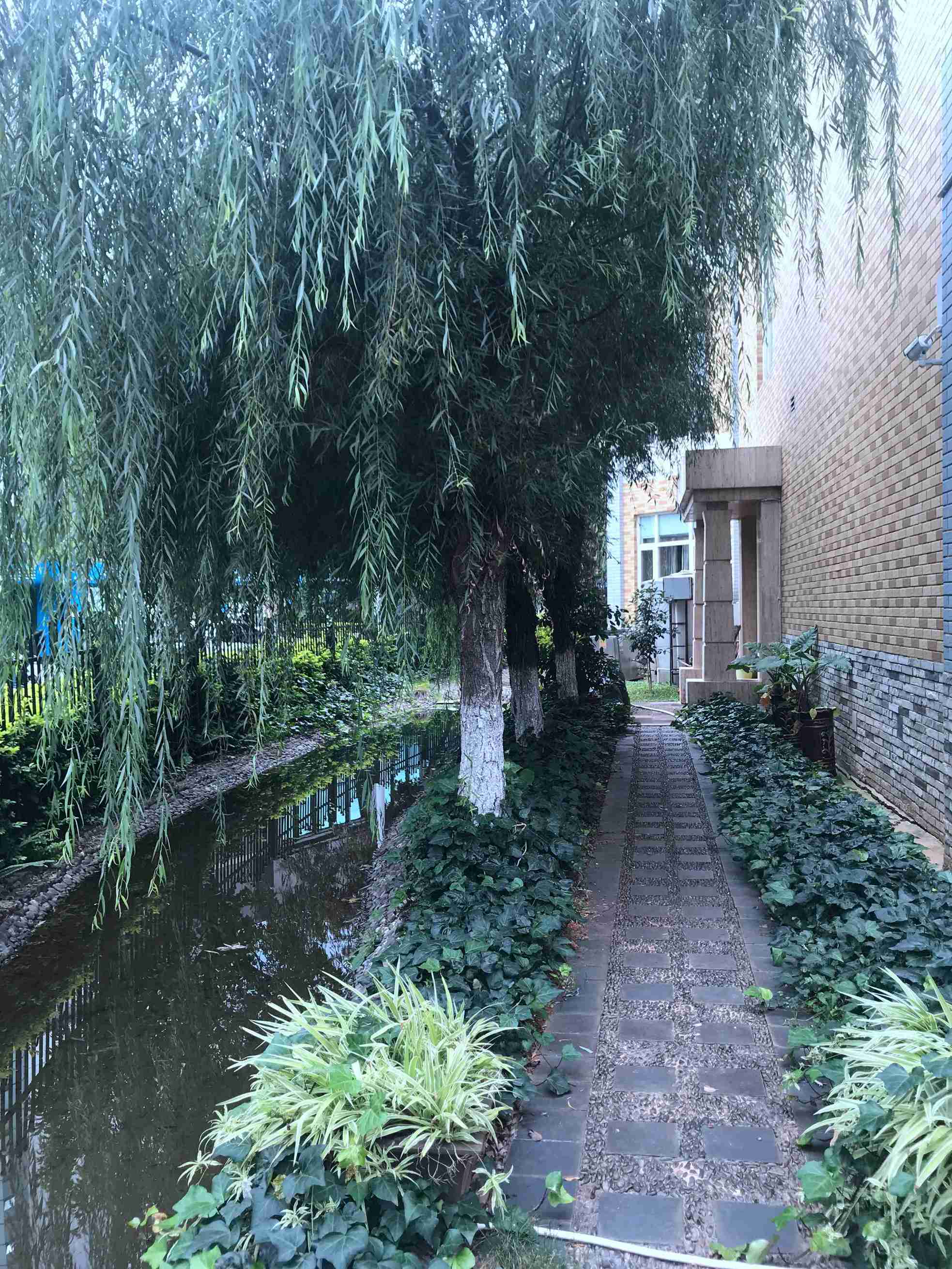 昆明市世纪城春城佳墅小区23#房屋交易项目