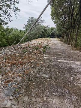 福田街道东岗山村场地招租