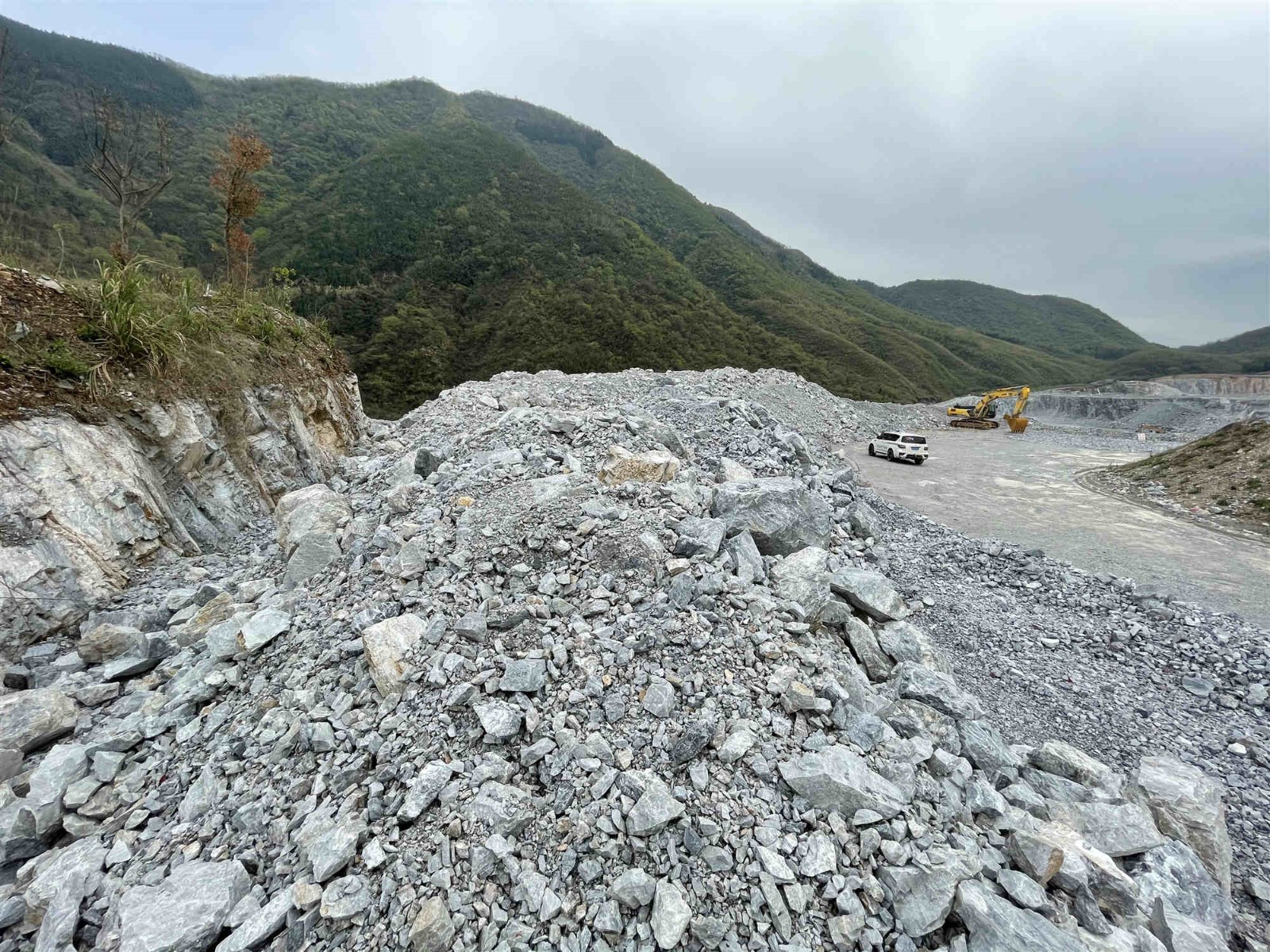 池州金桥投资集团有限公司关于池州市金家冲矿业有限公司石铺（大竹园）白云岩矿越界开采的矿石资源转让公告